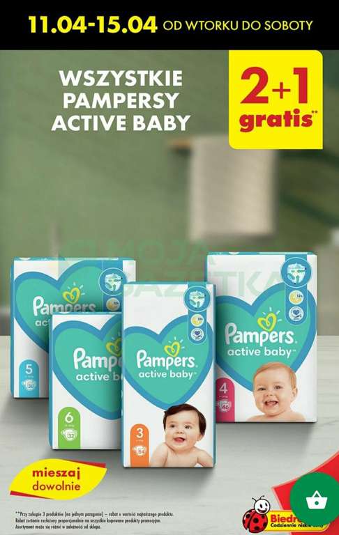 biedronka ceny pampers