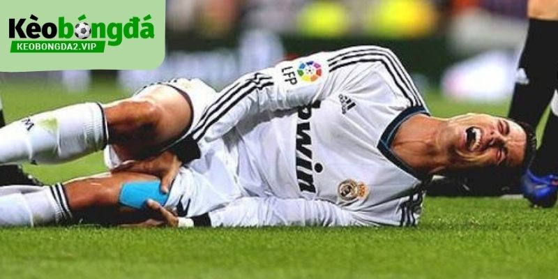 Kèo Bóng Đá Tối Nay - Tỷ Lệ Kèo Nhà Cái Trực Tiếp 24/7 Mỗi Ngày 39 Kèo Bóng Đá cập nhật thông tin thể thao nhanh và chính xác nhất thị trường