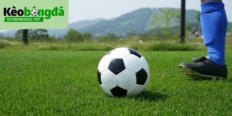 Chuyên mục kinh nghiệm soi kèo cung cấp nhiều mẹo từ chuyên gia